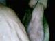 Private Photo of giorgione85